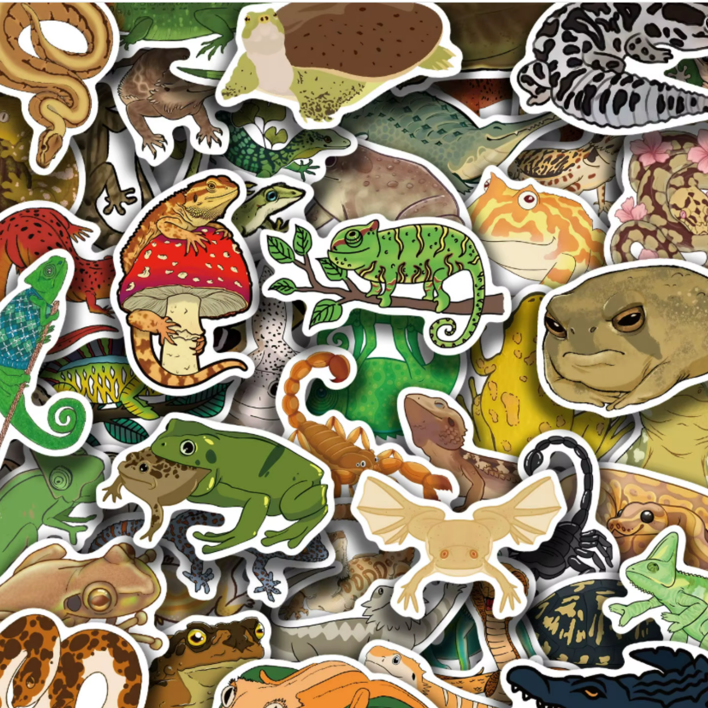 50 pcs Reptile Stickers