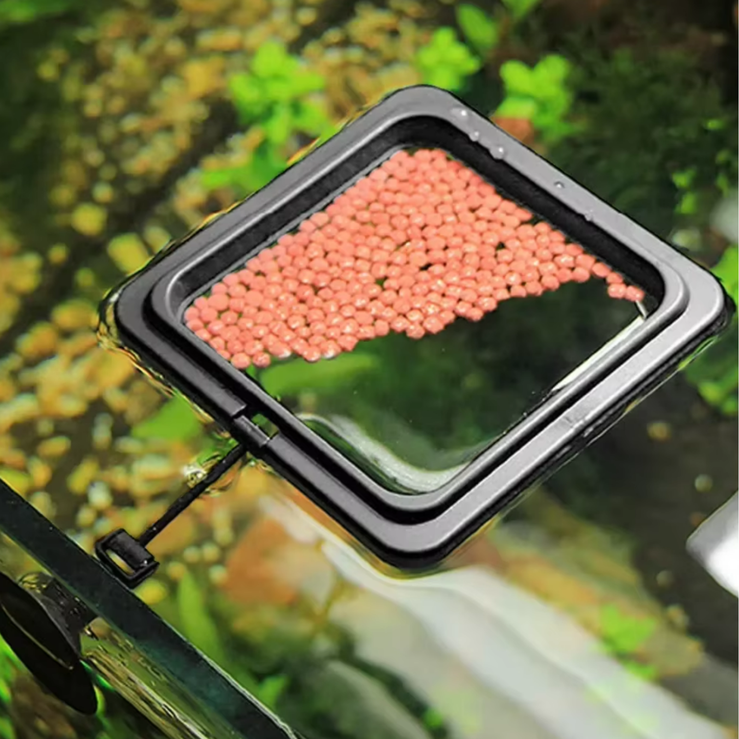 Floating Feeding Ring