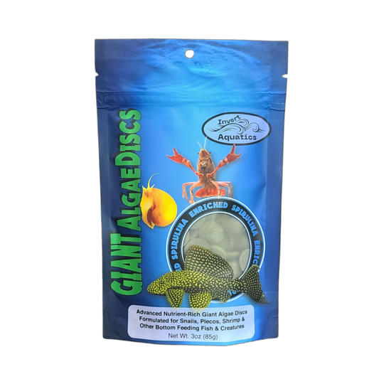 Giant Algae Discs