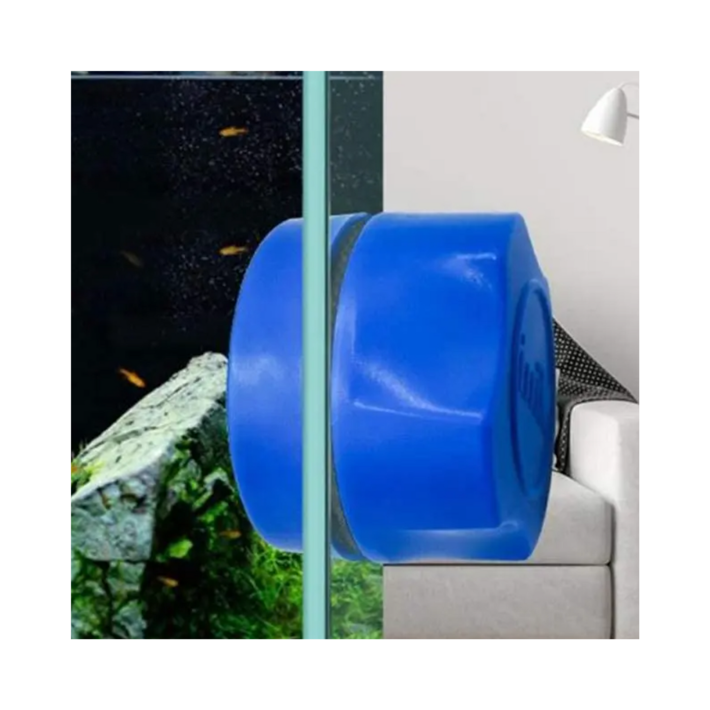 Mini Magnetic Algae Scraper