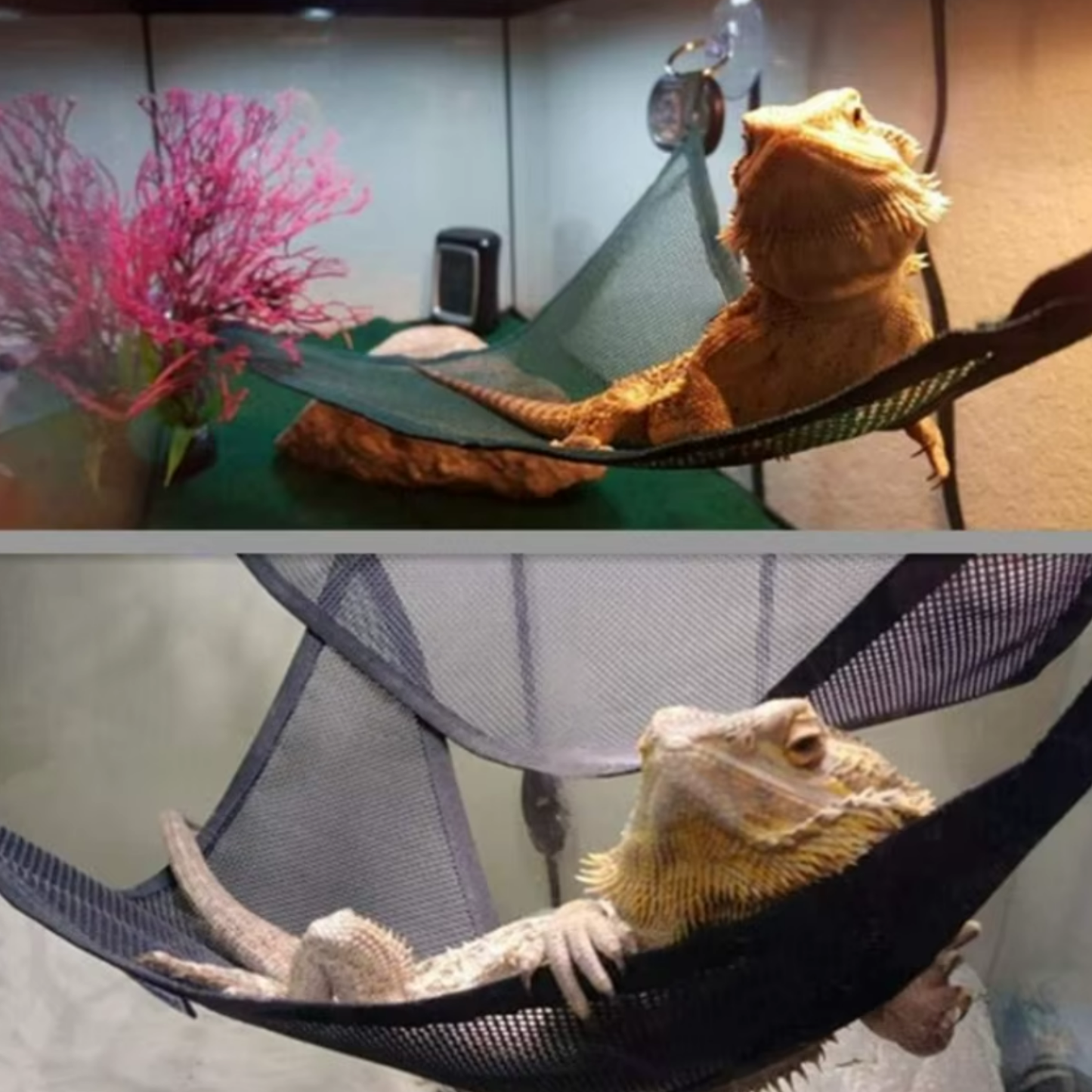 Reptile Hammock