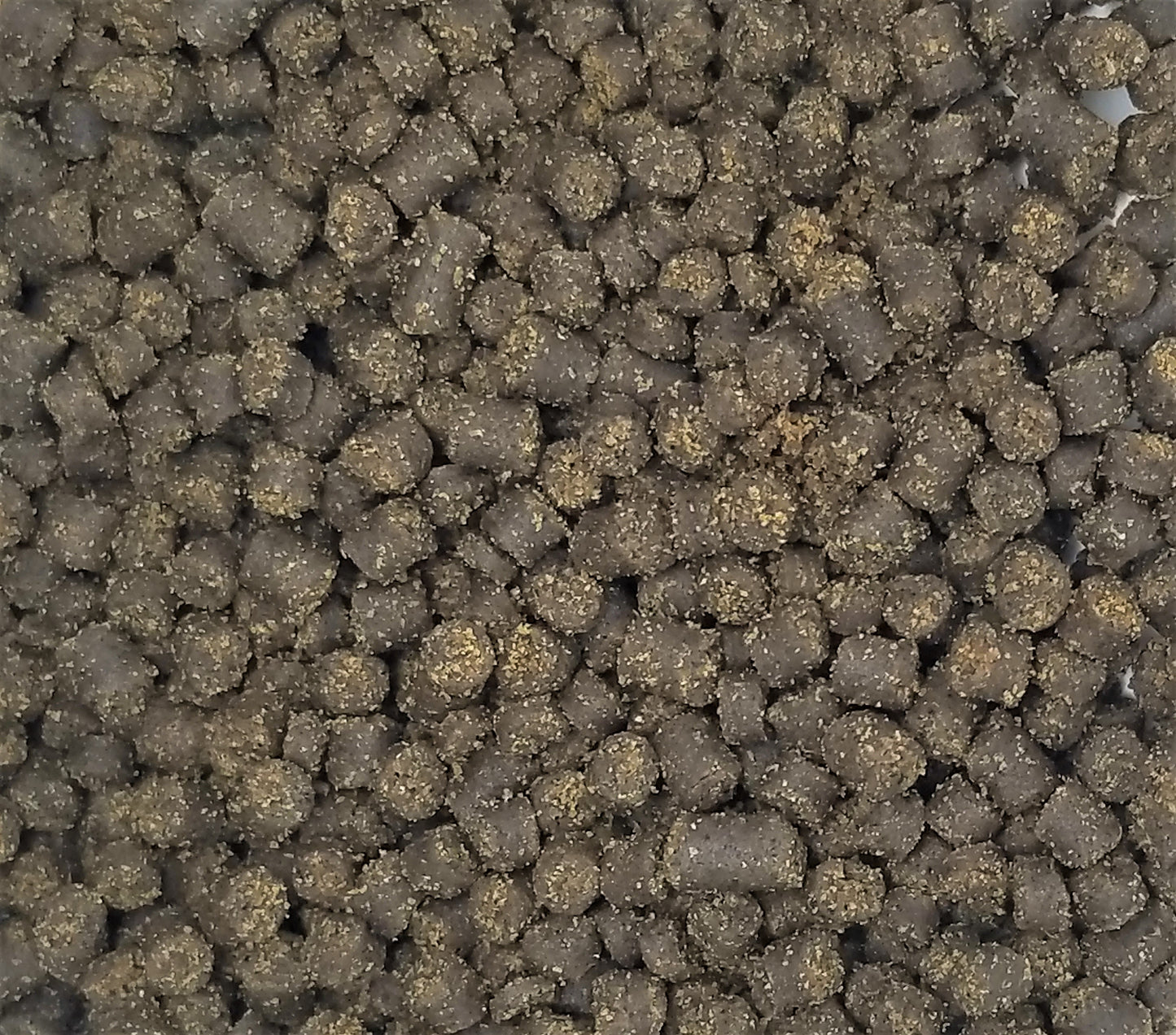 Frog Bites