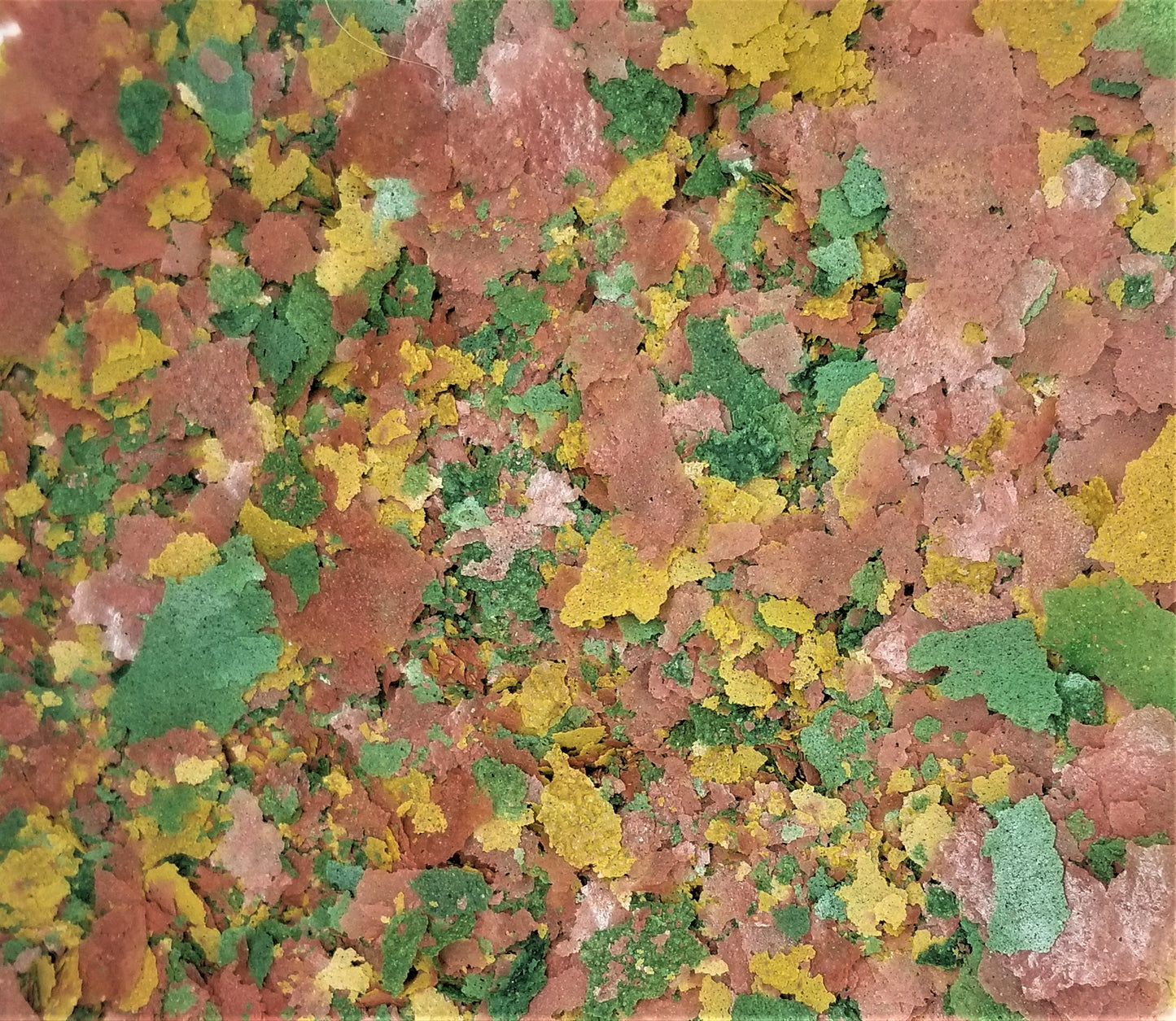 Tropical Fish Flakes