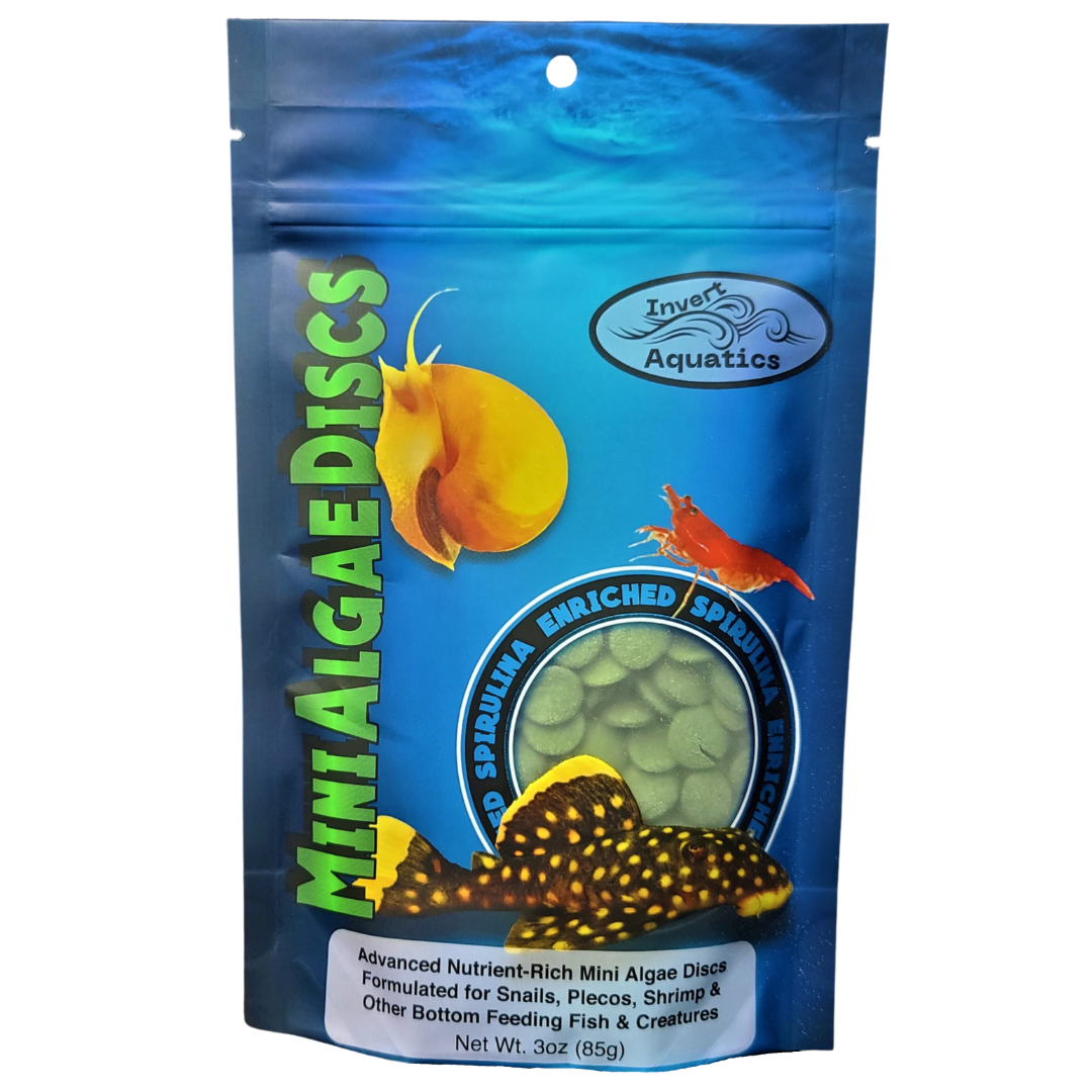 Mini Algae Discs