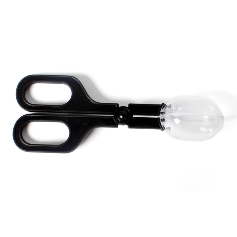 Live Insect Feeding Tool
