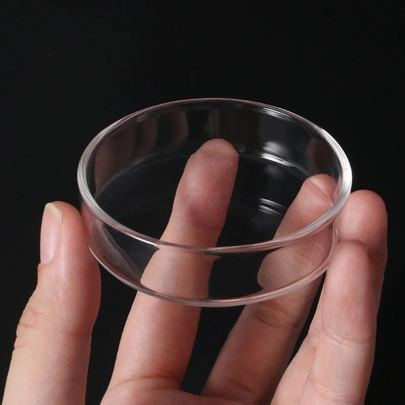 Glass Feeding Dish
