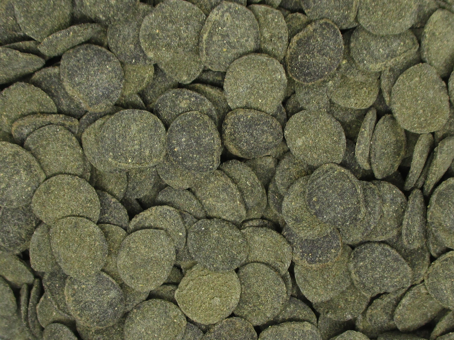 Mini Algae Discs