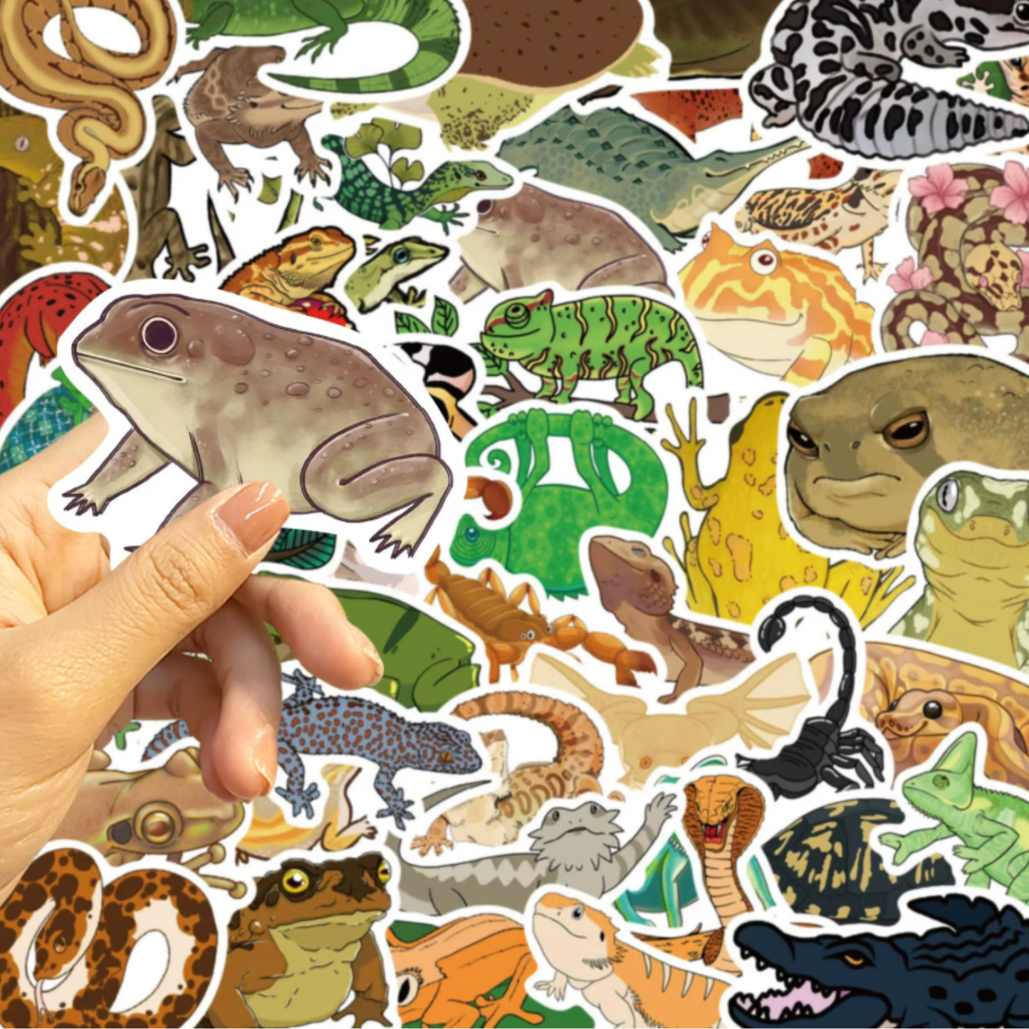 50 pcs Reptile Stickers