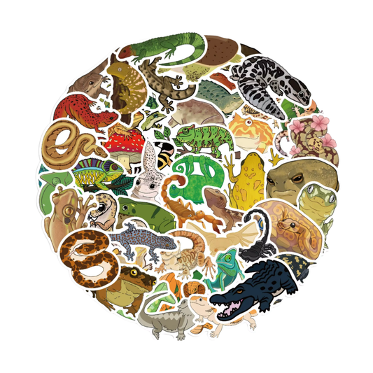 50 pcs Reptile Stickers