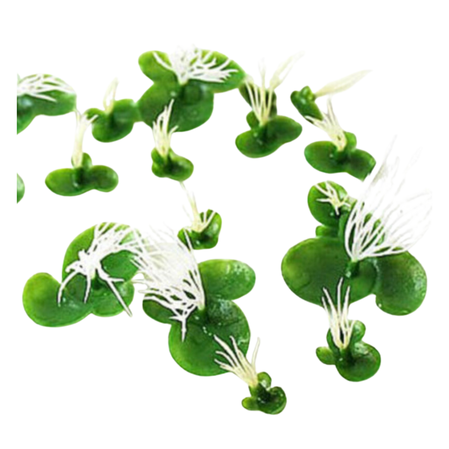 Artificial Floating Duckweed (18 Pack)