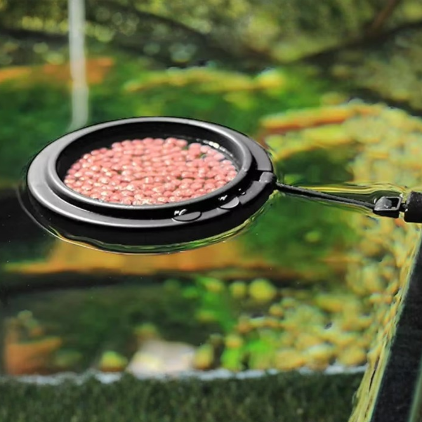 Floating Feeding Ring