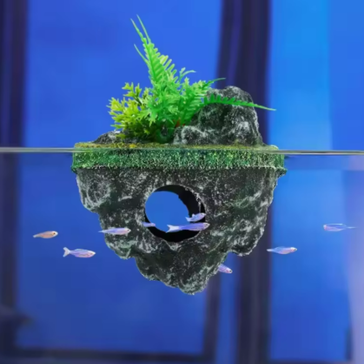 Floating Island Cave