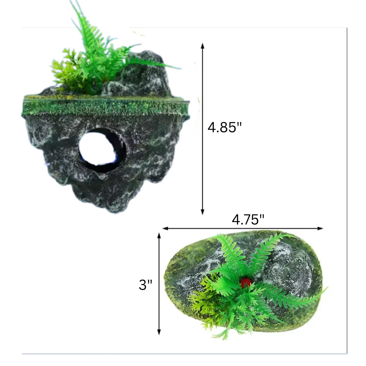Floating Island Cave