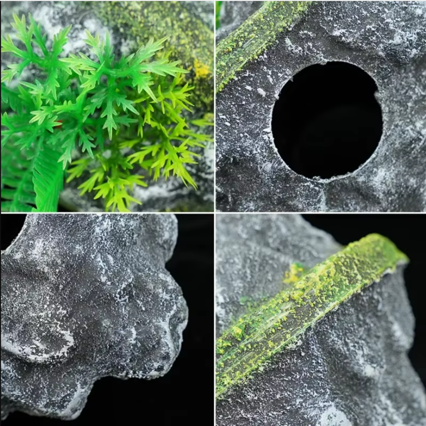 Floating Island Cave