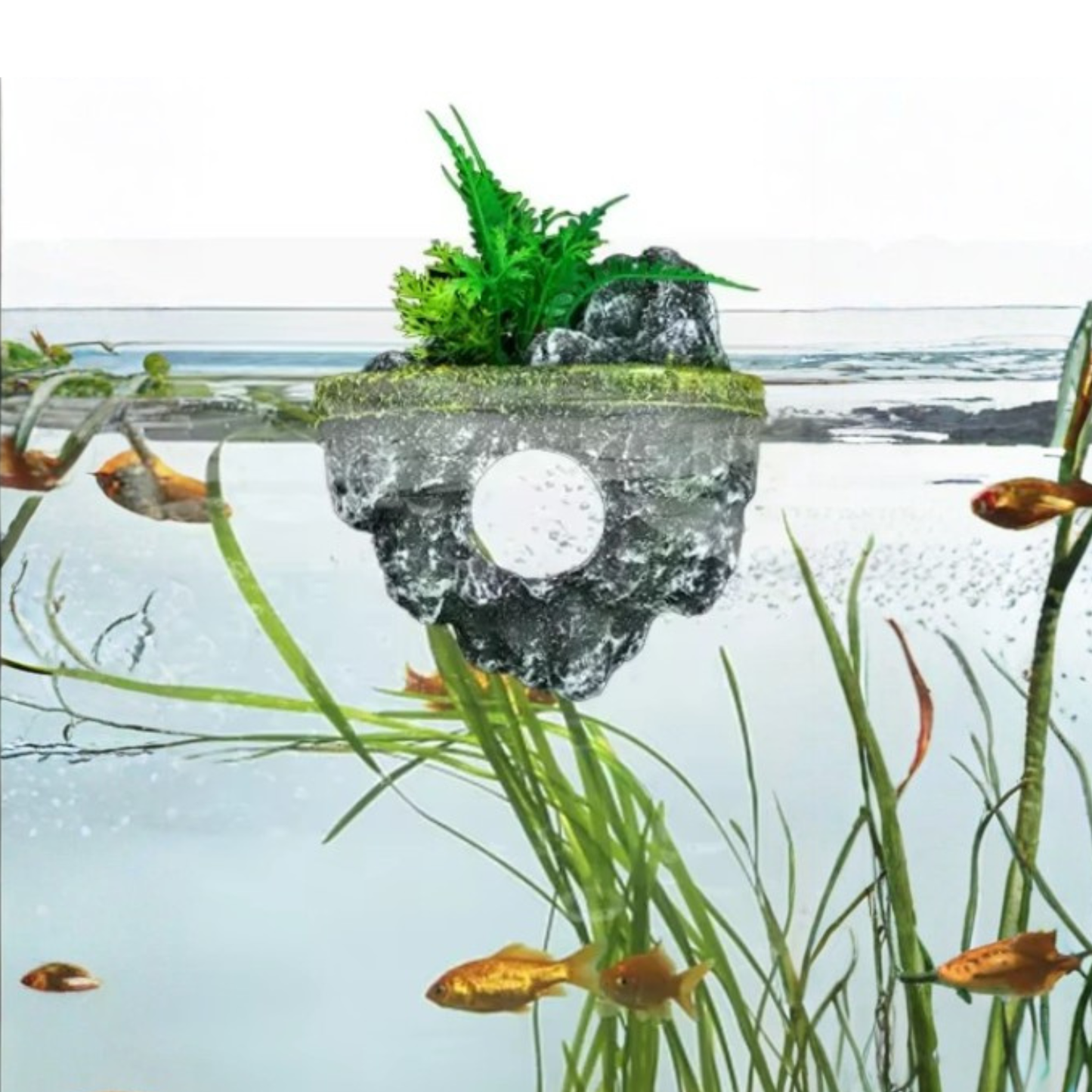 Floating Island Cave