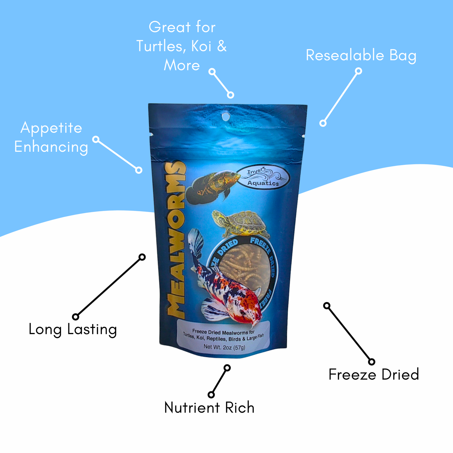 Freeze Dried Mealworms