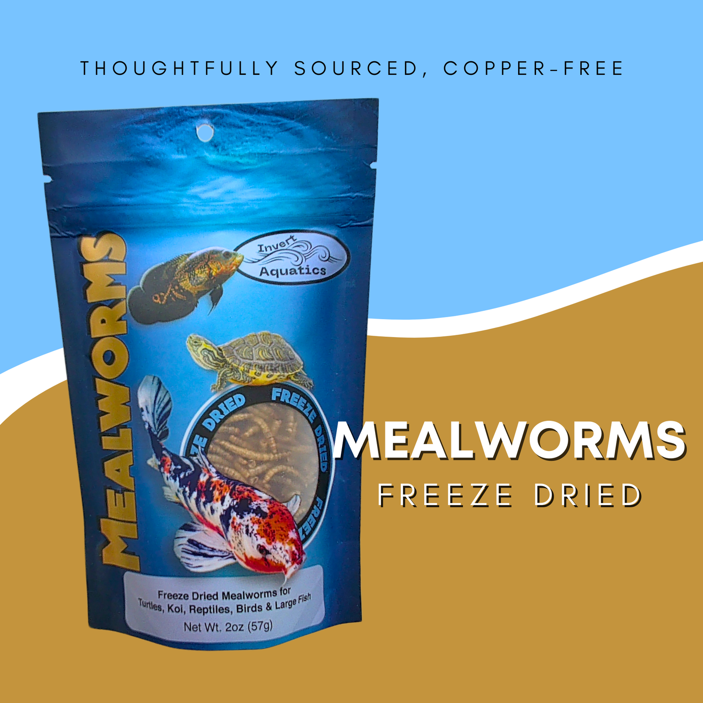 Freeze Dried Mealworms