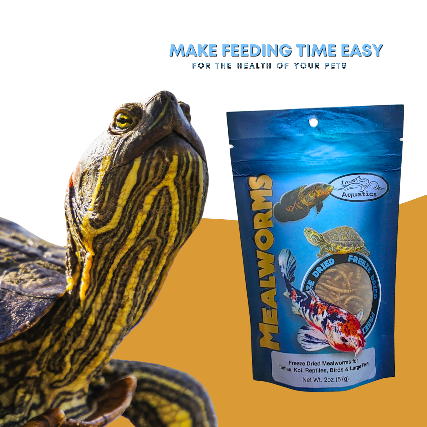 Freeze Dried Mealworms
