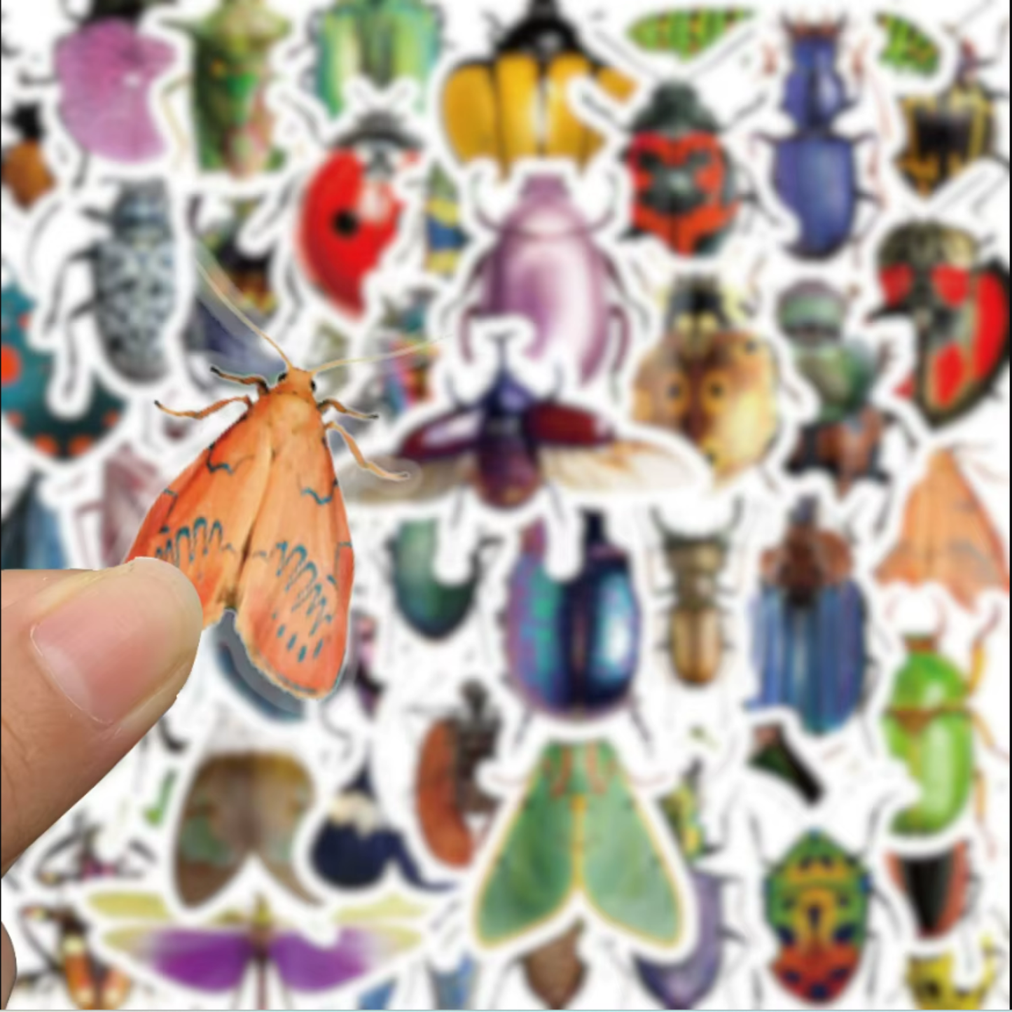 Insect Stickers (50pcs)
