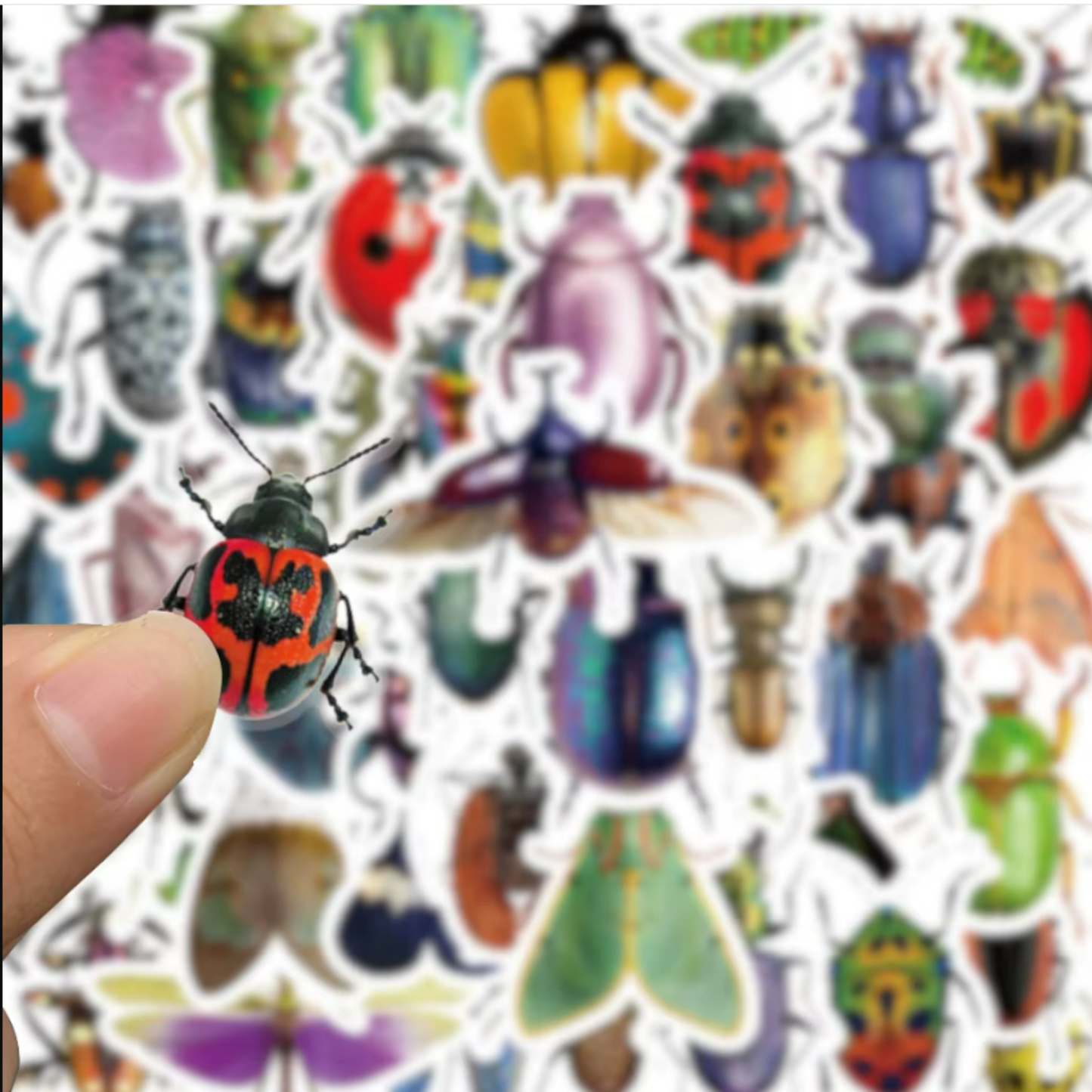 Insect Stickers (50pcs)