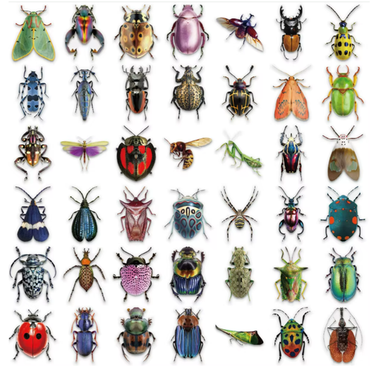 Insect Stickers (50pcs)