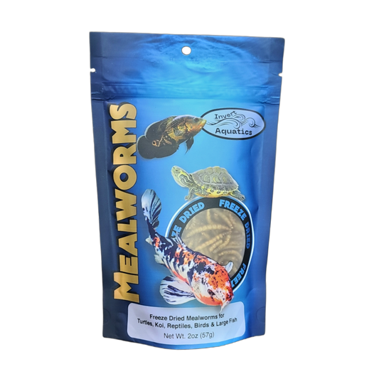 Freeze Dried Mealworms