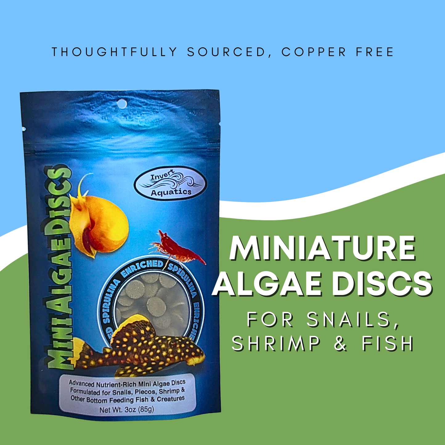 Mini Algae Discs