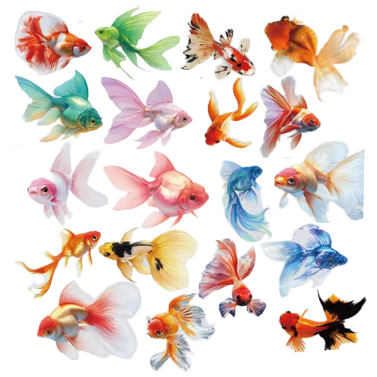 Goldfish Stickers (50pcs)