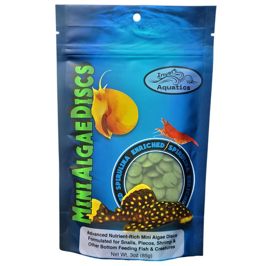 Algae Discs Invert Aquatics – InvertAquatics