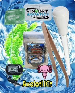 Axolotl Kit
