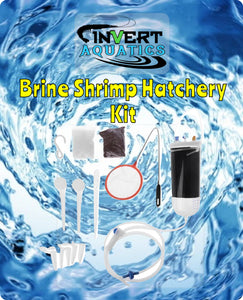 Brine Shrimp Hatchery Kit