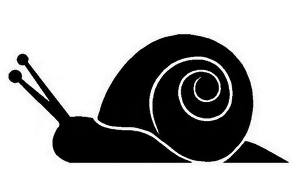 Snail Decal (Large)