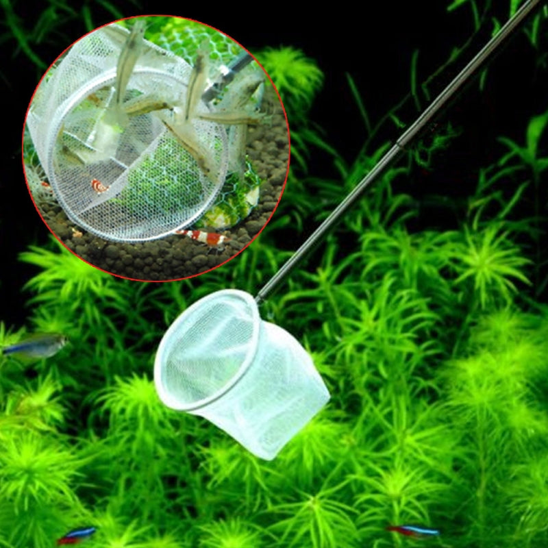 Telescoping Fine Mesh Net – InvertAquatics
