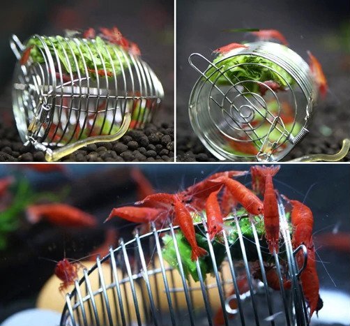 Shrimp Feeder